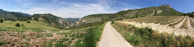 Rocher du Caire : petite virée dans le monde des Vautours !